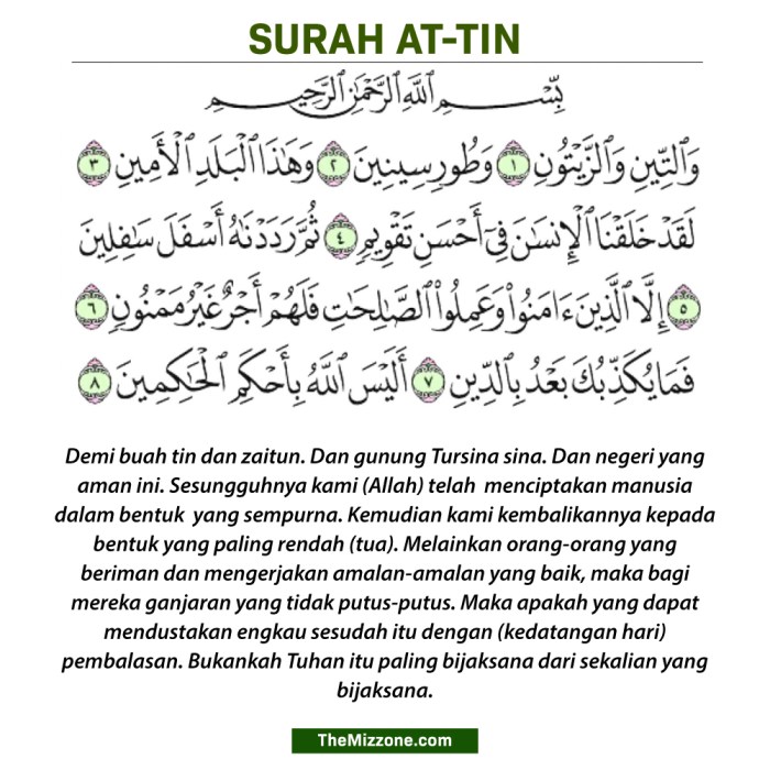 Terjemahan Dan Isi Kandungan Surat At Tin Dalam Al Qur An Blog Loker